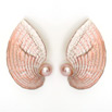 Bronze/pink