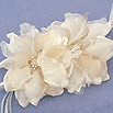 Bridal Feathers & Flowers